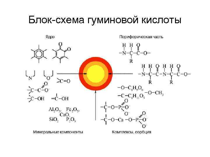 Блок-схема гуминовой кислоты 