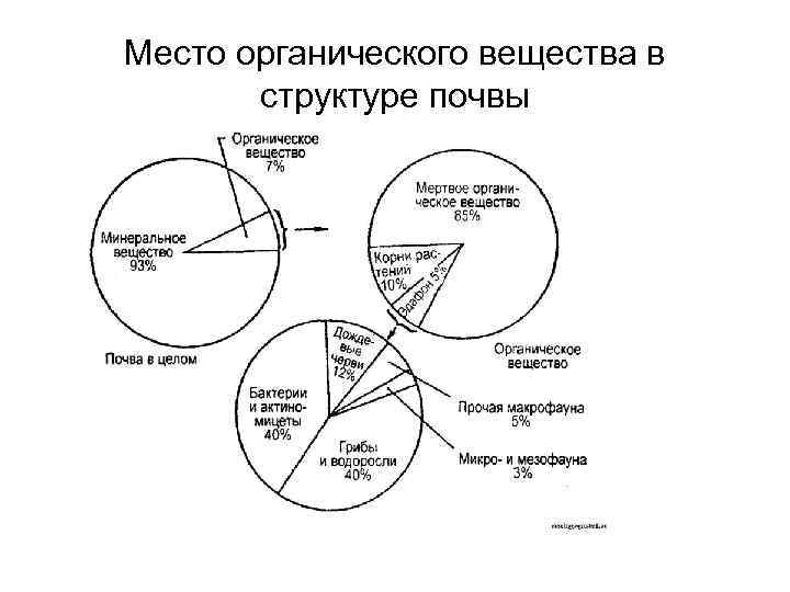 Структура органического вещества почвы. Состав органического вещества почвы. Органическое вещество почвы. Диаграмма состав гумуса. Содержание органических веществ в грунте ГОСТ.