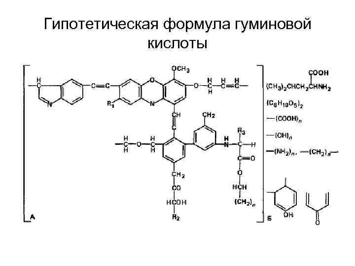 Гуминовые кислоты