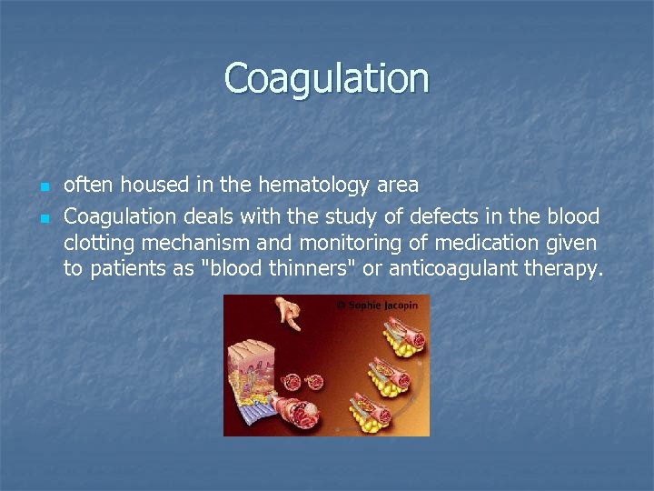 Coagulation n n often housed in the hematology area Coagulation deals with the study