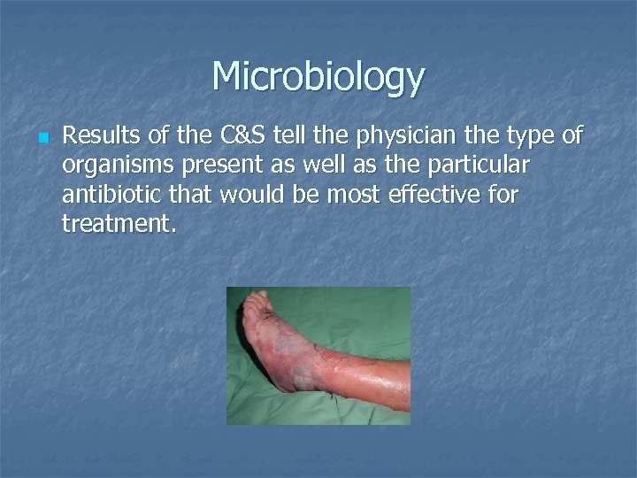 Microbiology n Results of the C&S tell the physician the type of organisms present