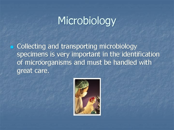 Microbiology n Collecting and transporting microbiology specimens is very important in the identification of