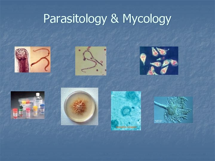 Parasitology & Mycology 