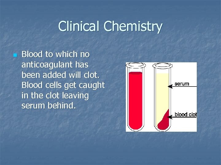 Clinical Chemistry n Blood to which no anticoagulant has been added will clot. Blood