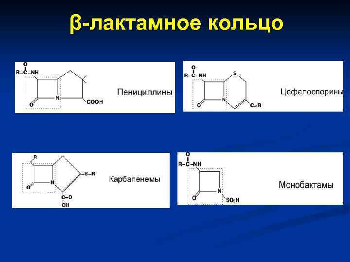 β-лактамное кольцо 