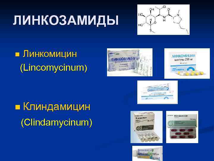 ЛИНКОЗАМИДЫ Линкомицин (Lincomycinum) n n Клиндамицин (Clindamycinum) 