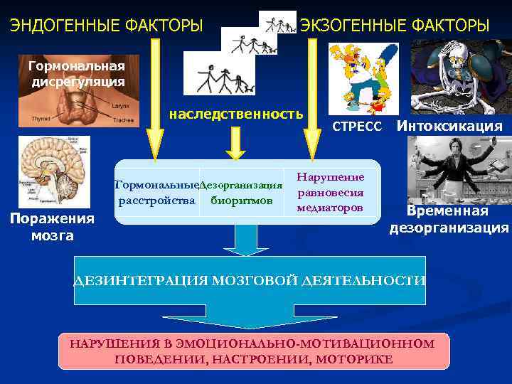 Экзогенные факторы картинки