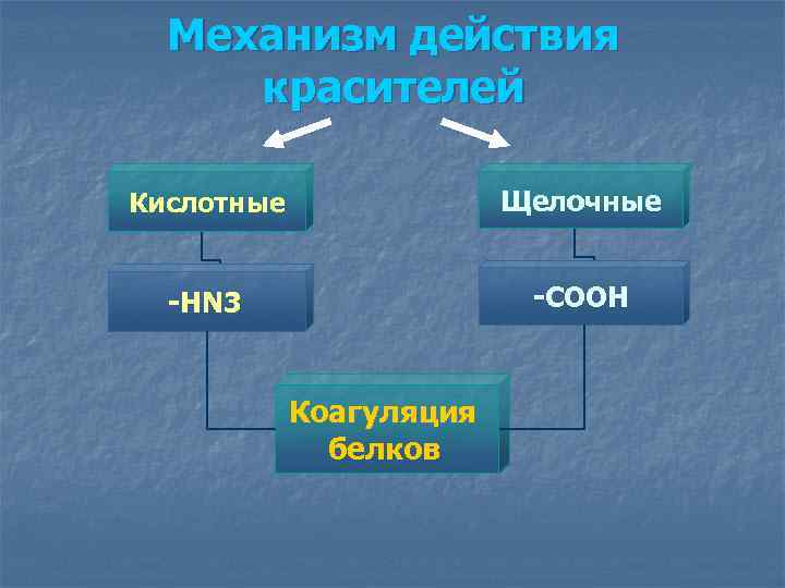 Механизм действия красителей Кислотные Щелочные -НN 3 -COOH Коагуляция белков 