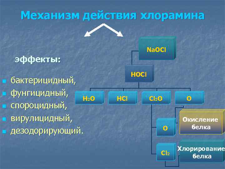 Механизм действия хлорамина Na. OCl эффекты: n n n бактерицидный, фунгицидный, H 2 O