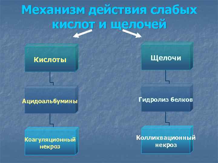 Механизм действия слабых кислот и щелочей Кислоты Щелочи Ацидоальбумины Гидролиз белков Коагуляционный некроз Колликвационный