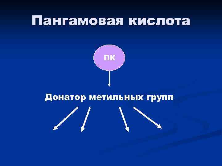 Пангамовая кислота ПК Донатор метильных групп 