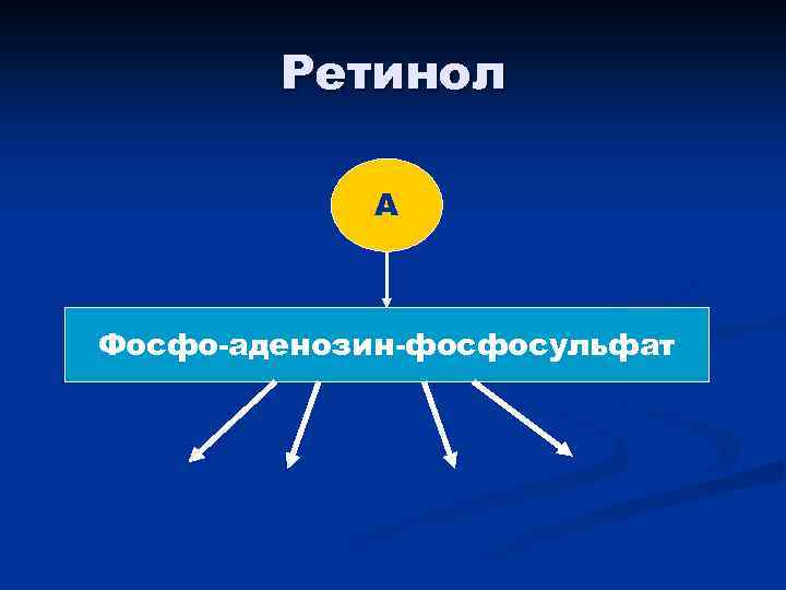 Ретинол А Фосфо-аденозин-фосфосульфат 