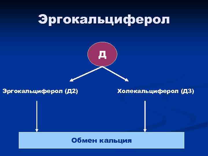 Эргокальциферол Д Эргокальциферол (Д 2) Холекальциферол (Д 3) Обмен кальция 