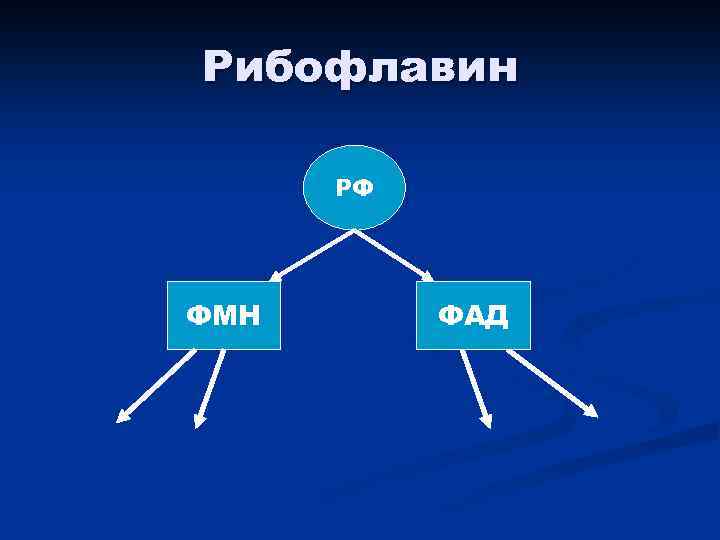 Рибофлавин РФ ФМН ФАД 