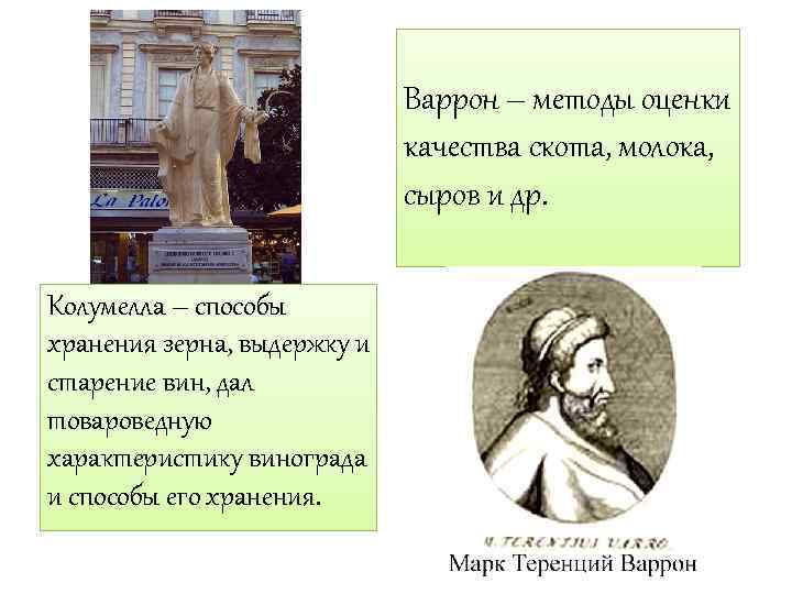 Варрон – методы оценки качества скота, молока, сыров и др. Колумелла – способы хранения