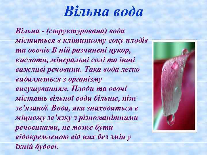 Вільна вода Вільна - (структурована) вода міститься в клітинному соку плодів та овочів В