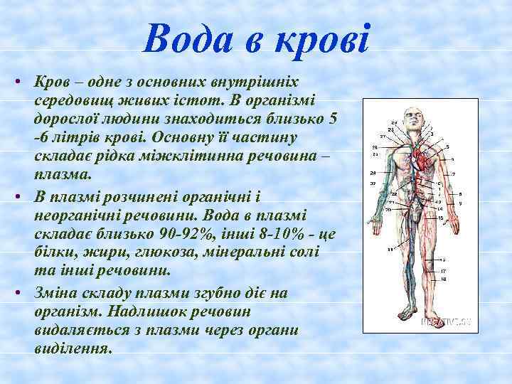Вода в крові • Кров – одне з основних внутрішніх середовищ живих істот. В