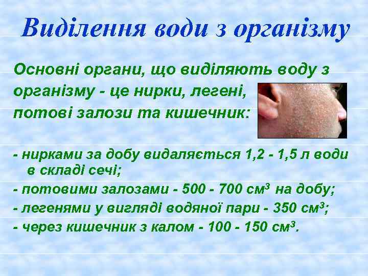 Виділення води з організму Основні органи, що виділяють воду з організму - це нирки,
