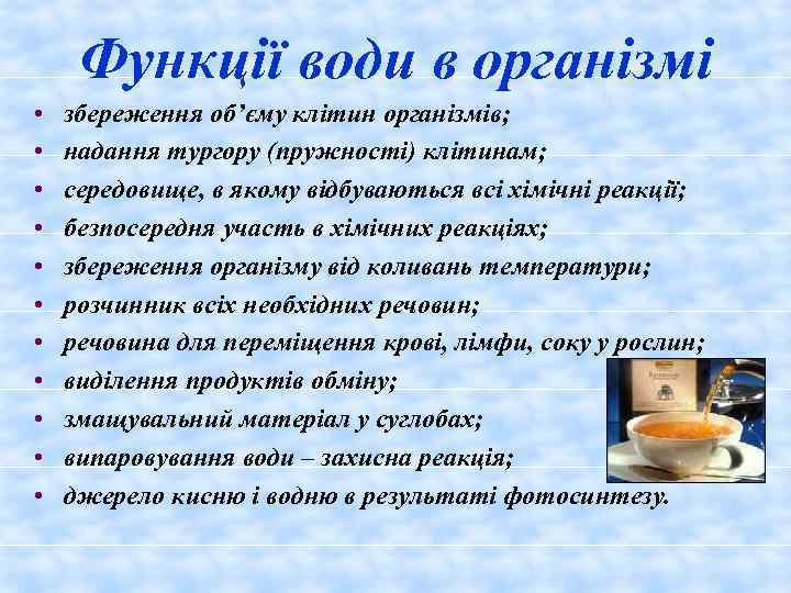 Функції води в організмі • • • збереження об’єму клітин організмів; надання тургору (пружності)