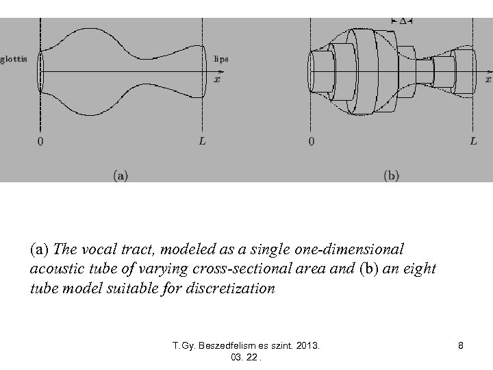 (a) The vocal tract, modeled as a single one-dimensional acoustic tube of varying cross-sectional