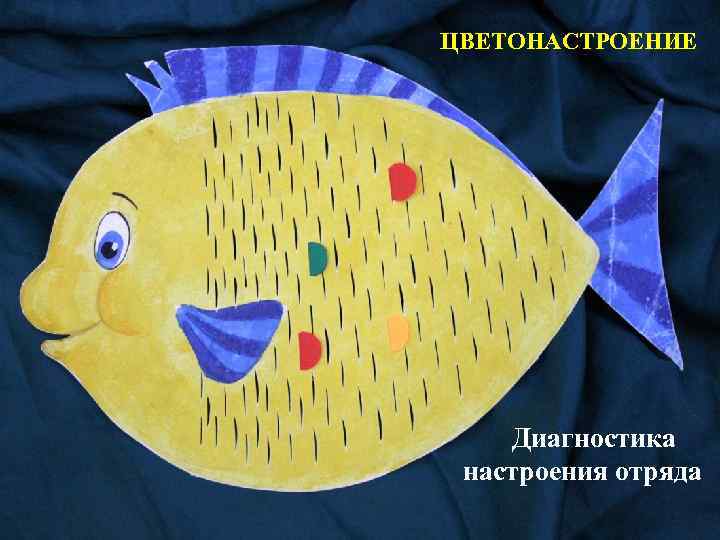 ЦВЕТОНАСТРОЕНИЕ Диагностика настроения отряда 