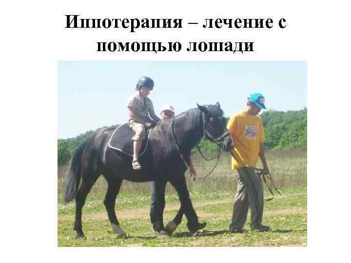 Иппотерапия – лечение с помощью лошади 