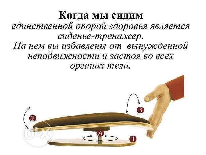 Когда мы сидим единственной опорой здоровья является сиденье-тренажер. На нем вы избавлены от вынужденной