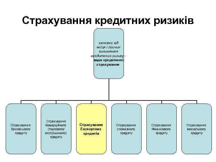 Страхування кредитних ризиків залежно від місця і причин виникнення кредитного ризику - види кредитного