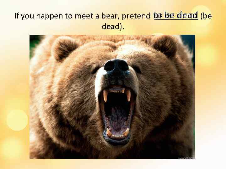 If you happen to meet a bear, pretend to be dead (be _____ dead).