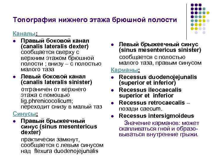 Топография нижнего этажа брюшной полости Каналы: l Правый боковой канал (canalis lateralis dexter) сообщается