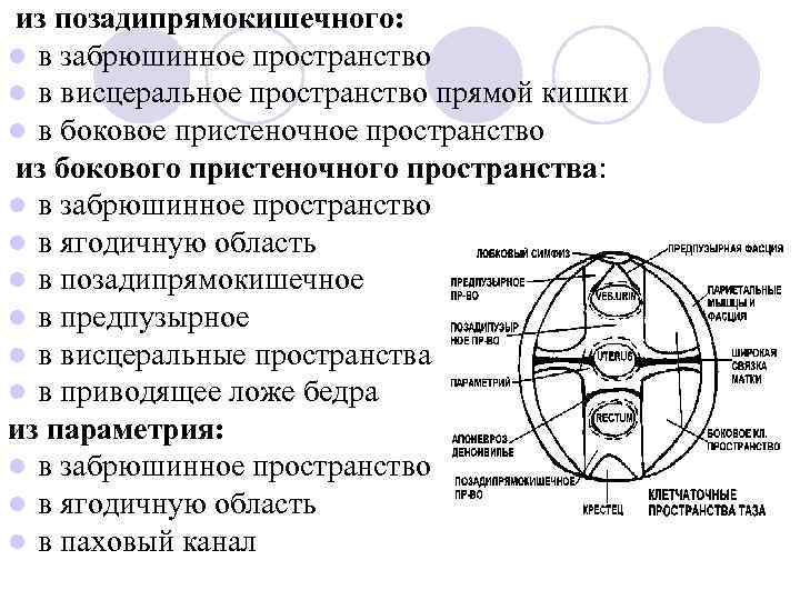 из позадипрямокишечного: l в забрюшинное пространство l в висцеральное пространство прямой кишки l в