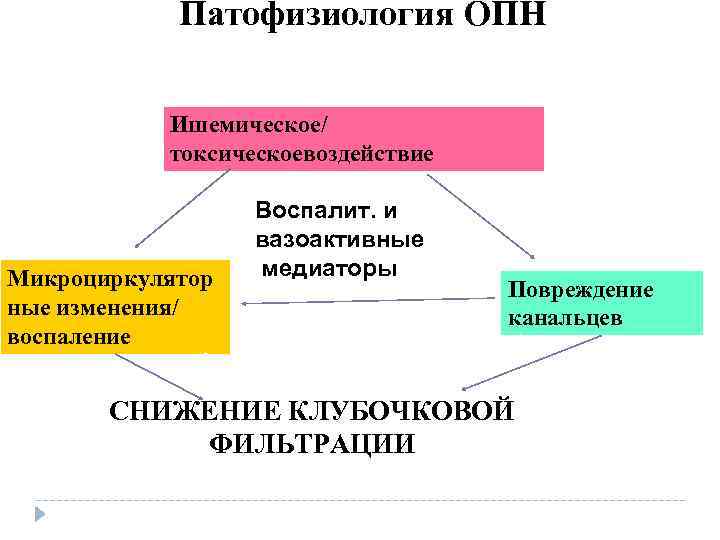 Патофизиология ОПН Ишемическое/ токсическоевоздействие Микроциркулятор ные изменения/ воспаление Воспалит. и вазоактивные медиаторы Повреждение канальцев