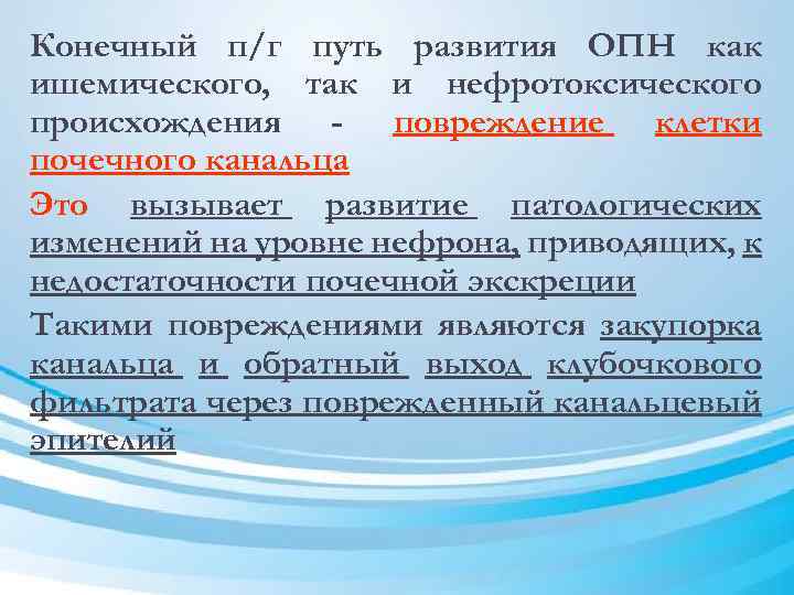 Конечный п/г путь развития ОПН как ишемического, так и нефротоксического происхождения - повреждение клетки