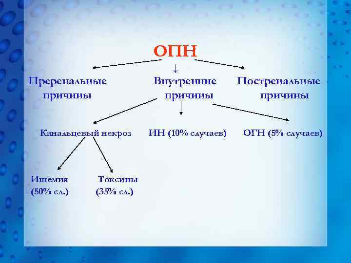 ОПН ↓ Преренальные причины Канальцевый некроз Ишемия (50% сл. ) Токсины (35% сл. )