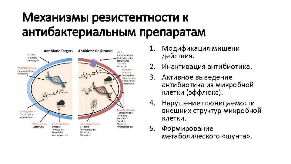 Механизмы резистентности к антибактериальным препаратам 1. Модификация мишени действия. 2. Инактивация антибиотика. 3. Активное
