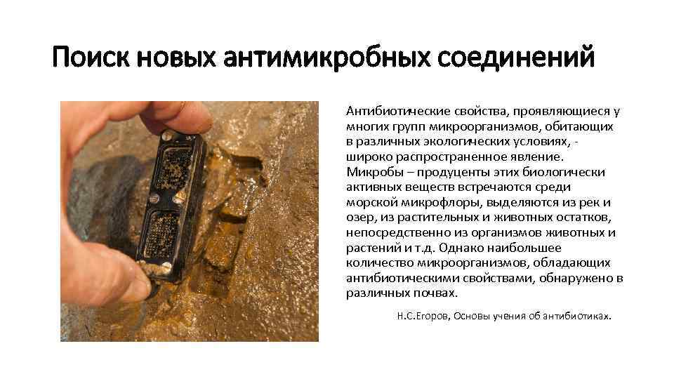 Поиск новых антимикробных соединений Антибиотические свойства, проявляющиеся у многих групп микроорганизмов, обитающих в различных