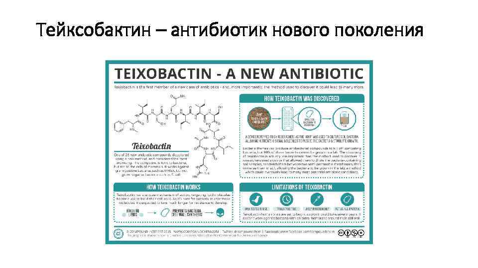 Тейксобактин – антибиотик нового поколения 