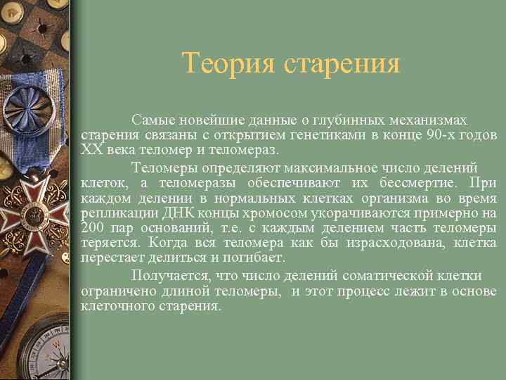 Теория старения Самые новейшие данные о глубинных механизмах старения связаны с открытием генетиками в