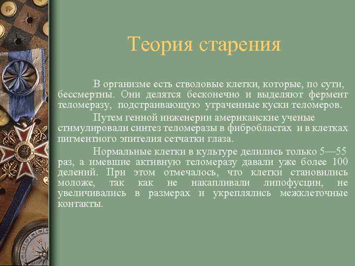 Теория старения В организме есть стволовые клетки, которые, по сути, бессмертны. Они делятся бесконечно