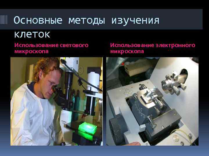 Основные методы изучения клеток Использование светового микроскопа Использование электронного микроскопа 