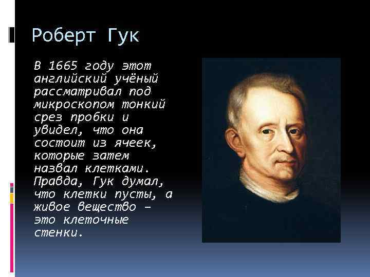 Роберт Гук В 1665 году этот английский учёный рассматривал под микроскопом тонкий срез пробки