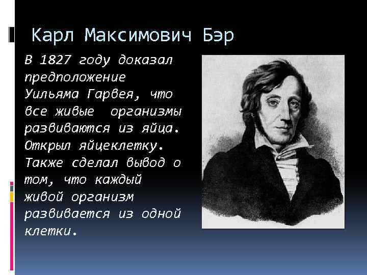 Карл Максимович Бэр В 1827 году доказал предположение Уильяма Гарвея, что все живые организмы