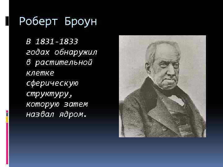 Роберт Броун В 1831 -1833 годах обнаружил в растительной клетке сферическую структуру, которую затем