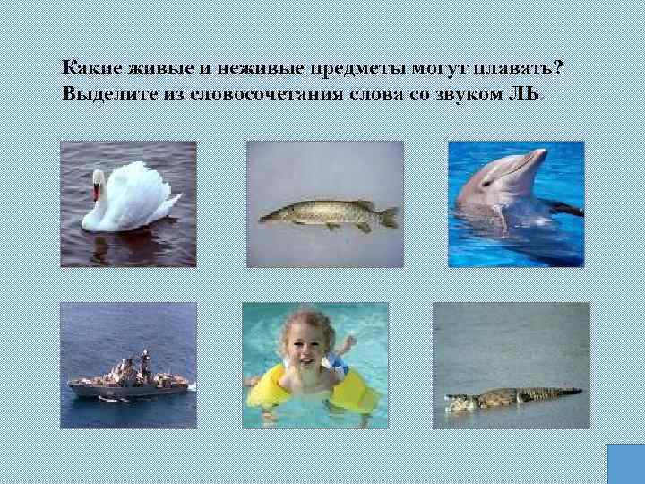 Какие живые и неживые предметы могут плавать? Выделите из словосочетания слова со звуком ЛЬ.