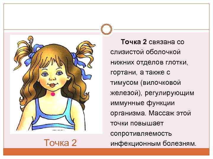 Точка 2 связана со слизистой оболочкой нижних отделов глотки, гортани, а также с тимусом