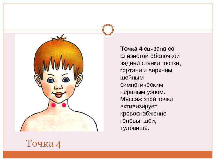 Точка 4 связана со слизистой оболочкой задней стенки глотки, гортани и верхним шейным симпатическим