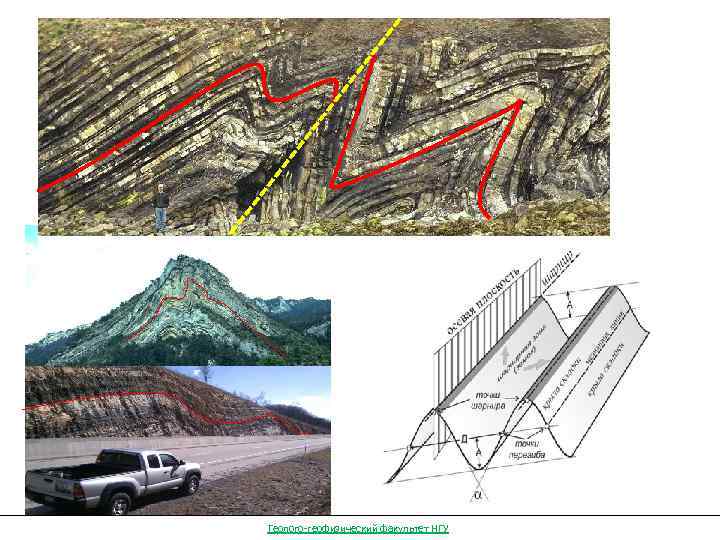 Деформации дизъюнктивные разломы пликативные складки Геолого-геофизический факультет НГУ 
