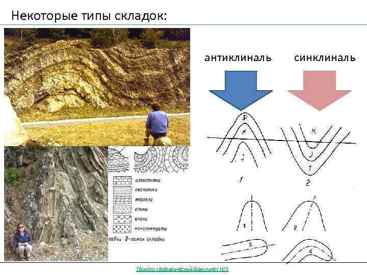 Некоторые типы складок: антиклиналь Геолого-геофизический факультет НГУ синклиналь 