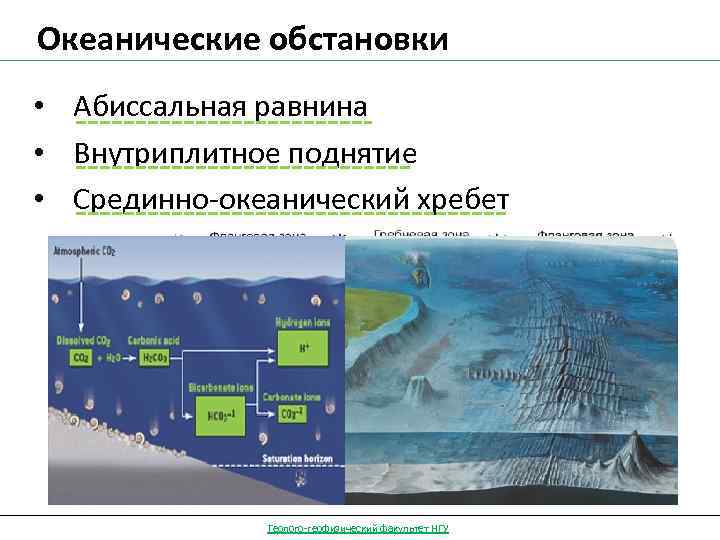 Океанические обстановки • Абиссальная равнина • Внутриплитное поднятие • Срединно-океанический хребет Геолого-геофизический факультет НГУ