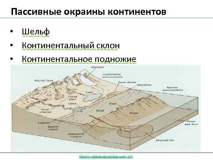 Континентальный рельеф. Шельф континентальный склон континентальное подножие. Пассивные окраины континентов. Строение активной Континентальной окраины. Активные и пассивные континентальные окраины.